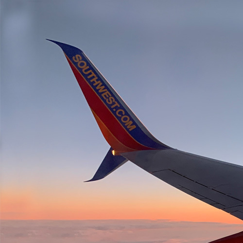 Should United Eventually Bring the Tulip back Airliners